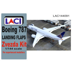 Boeing B787 landing flaps...